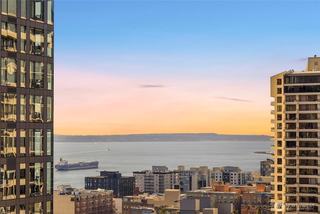 300 Virginia St Unit 1501, Seattle, WA 98101 - photo 21