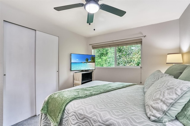10822 SE 260th St Unit 2B1, Kent, WA 98030 - bedroom featuring carpet floors, ceiling fan, and a closet