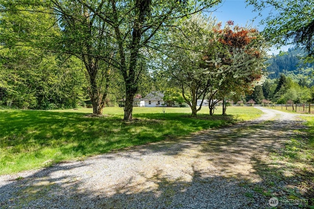 view of dirt / gravel road