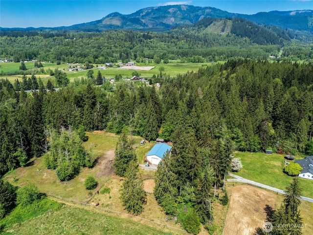 bird's eye view of a forest and a mountain backdrop