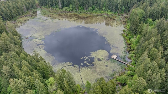 3758 257th Ave SE Unit 4-4, Issaquah, WA 98029 - aerial view of property and surrounding area featuring a large body of water and a forest