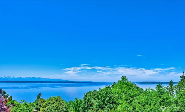 7212 164th St SW, Edmonds, WA 98026 - water view featuring mountains