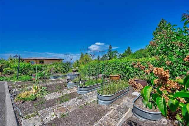 7212 164th St SW, Edmonds, WA 98026 - view of yard featuring a vegetable garden