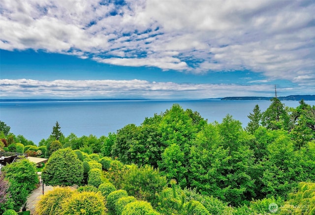 7212 164th St SW, Edmonds, WA 98026 - water view