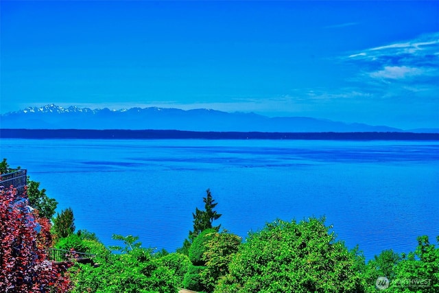 7212 164th St SW, Edmonds, WA 98026 - water view featuring a mountainous background