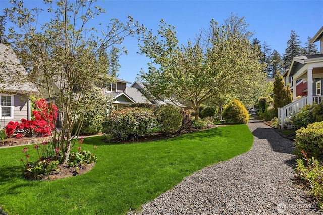 view of yard