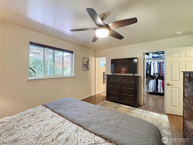 401 Dungeness Mdws, Sequim, WA 98382 - bedroom with a spacious closet, wood finished floors, a closet, and a ceiling fan
