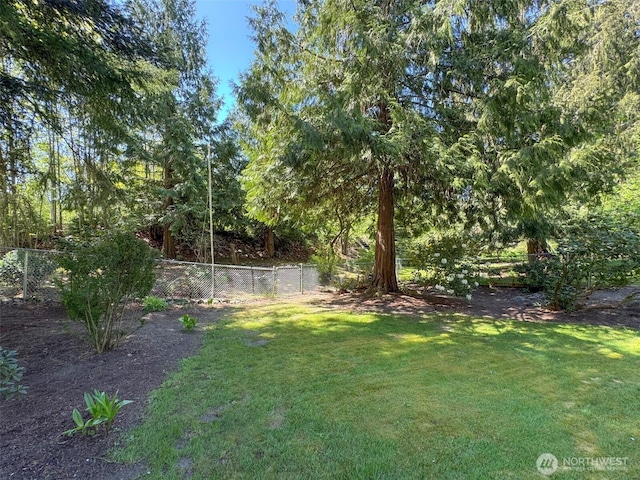 401 Dungeness Mdws, Sequim, WA 98382 - view of yard