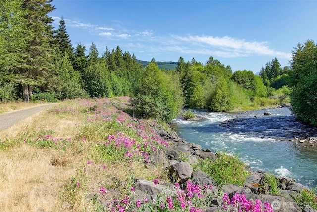 401 Dungeness Mdws, Sequim, WA 98382 - water view with a forest