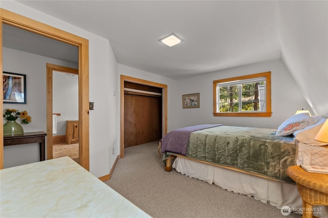 69 Ross Rd, Twisp, WA 98856 - bedroom featuring carpet and a closet