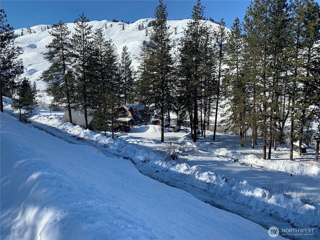 69 Ross Rd, Twisp, WA 98856 - view of mountain backdrop