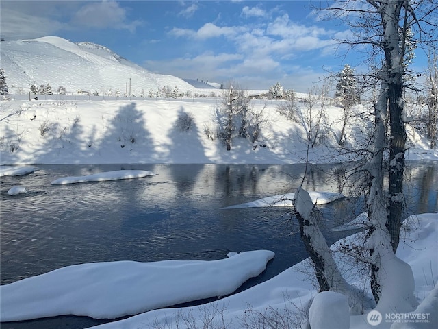 69 Ross Rd, Twisp, WA 98856 - water view