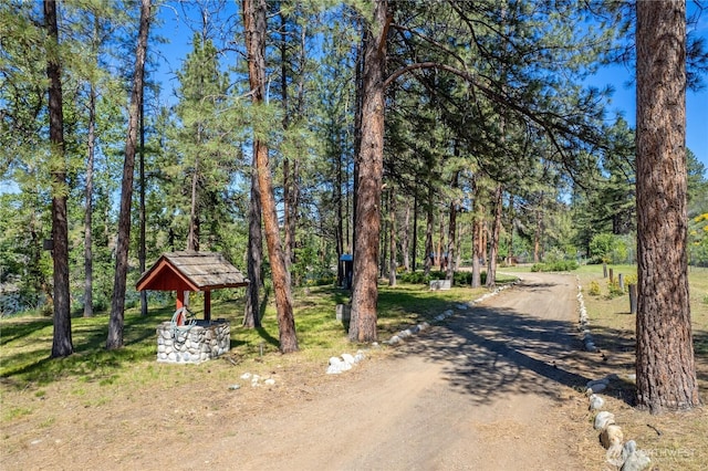 69 Ross Rd, Twisp, WA 98856 - view of street