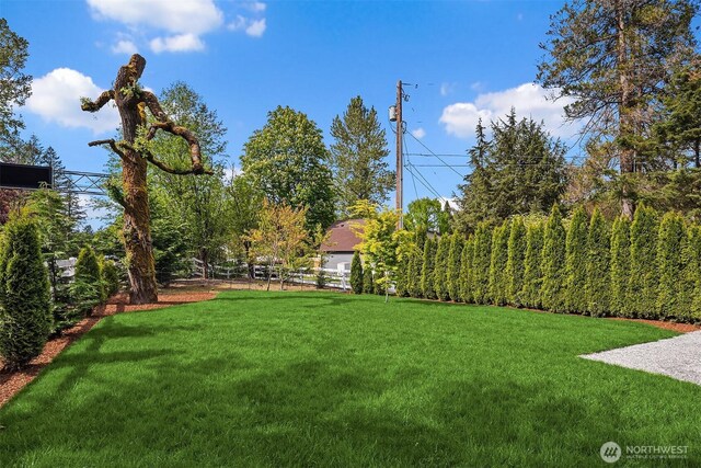 545 SE Lewis St, Issaquah, WA 98027 - view of yard