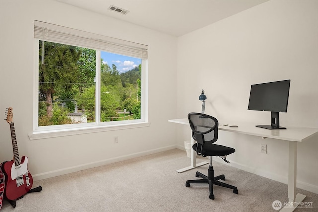 545 SE Lewis St, Issaquah, WA 98027 - office with carpet, baseboards, and visible vents