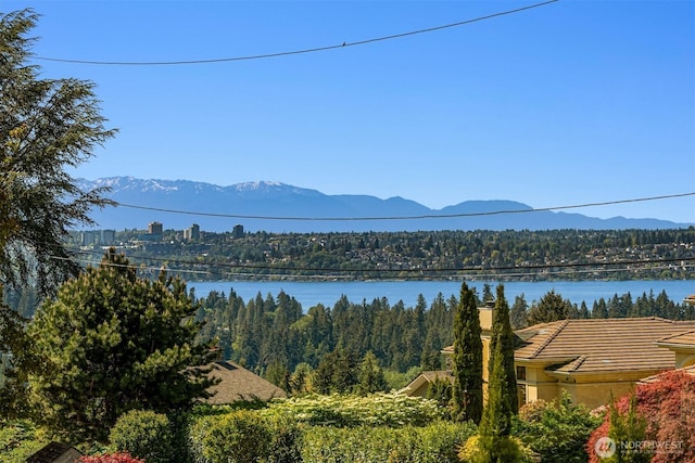 mountain view with a nearby body of water and a forest