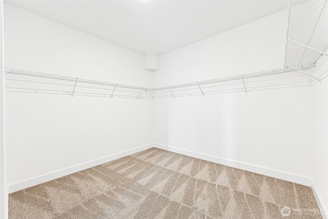 20336 150th St E Unit 588, Bonney Lake, WA 98391 - spacious closet with carpet