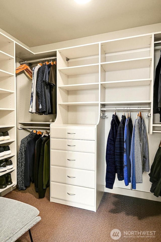 2121 Terry Ave Unit N1203, Seattle, WA 98121 - walk in closet with carpet