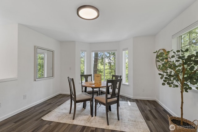 4101 356th Dr SE, Fall City, WA 98024 - photo 20