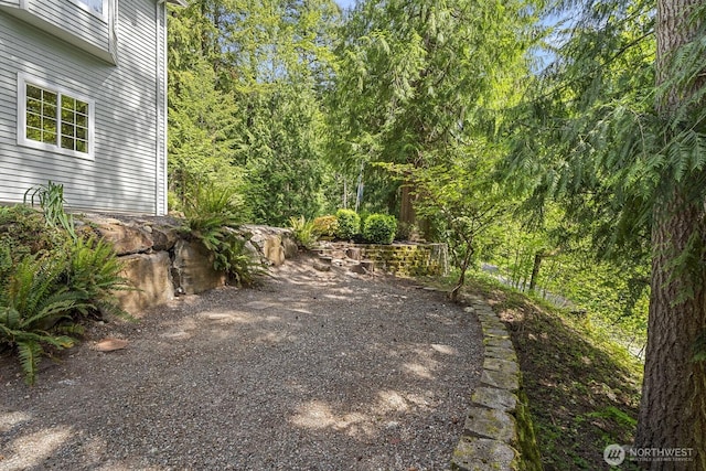 4101 356th Dr SE, Fall City, WA 98024 - photo 31