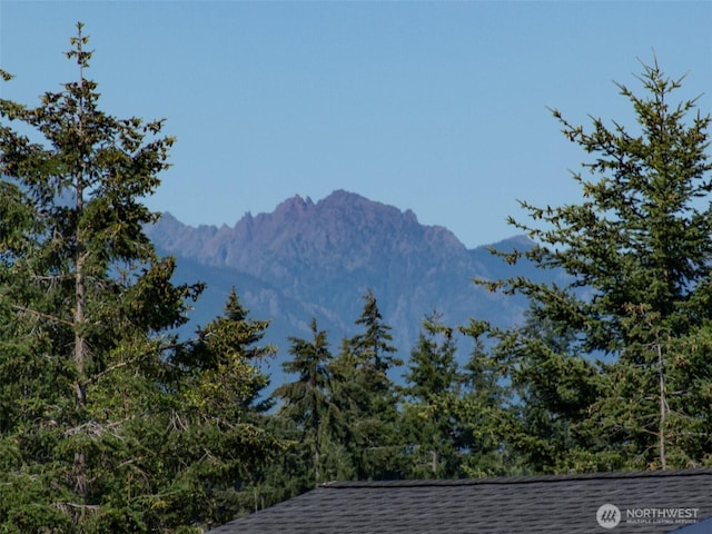 mountain view