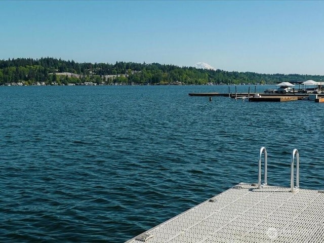 4400 E Mercer Way, Mercer Island, WA 98040 - dock area with a water view