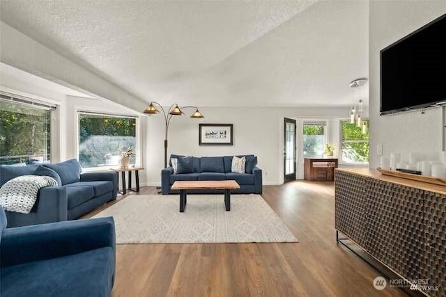7236 Twin Cedar Ln SE, Tumwater, WA 98501 - living area featuring wood finished floors, a textured ceiling, vaulted ceiling, and baseboards