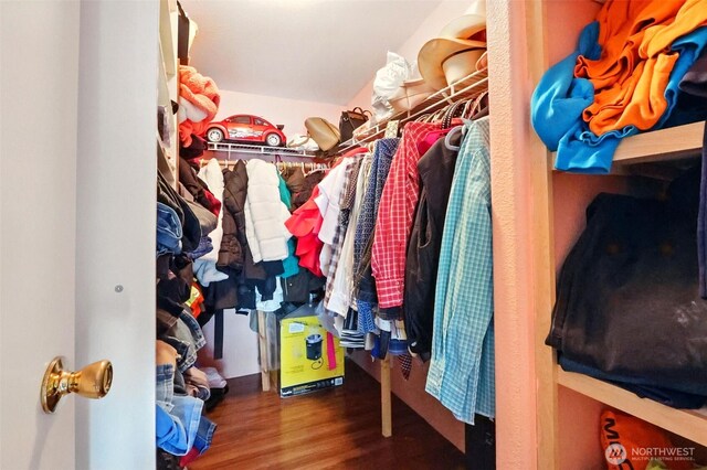spacious closet with wood finished floors
