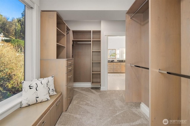 spacious closet with light carpet