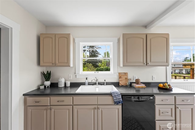 kitchen featuring dishwasher, dark countertops, a healthy amount of sunlight, and a sink