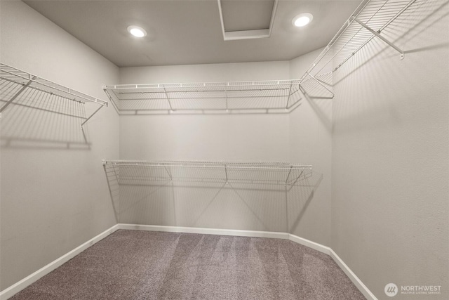 walk in closet featuring carpet floors and attic access