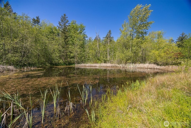 view of nature featuring a water view and a view of trees