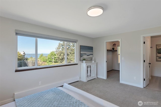 18215 3rd Pl SW, Normandy Park, WA 98166 - bedroom featuring carpet, baseboards, a walk in closet, and a water view