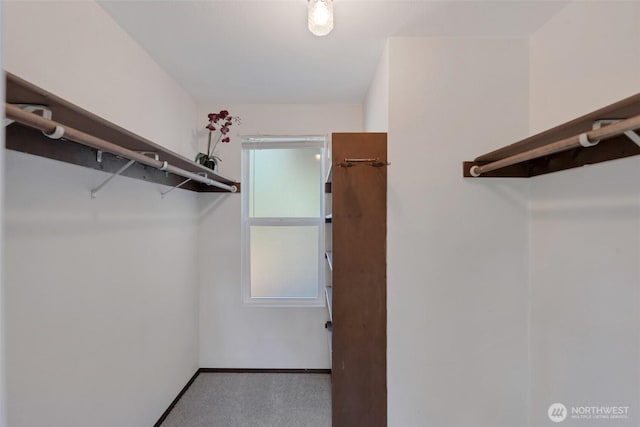 18215 3rd Pl SW, Normandy Park, WA 98166 - walk in closet with carpet flooring
