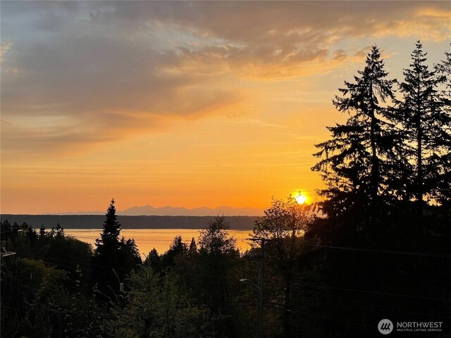 18215 3rd Pl SW, Normandy Park, WA 98166 - nature at dusk with a mountain view