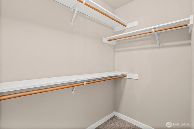 spacious closet with carpet