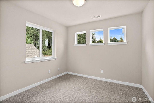 carpeted empty room with plenty of natural light and baseboards