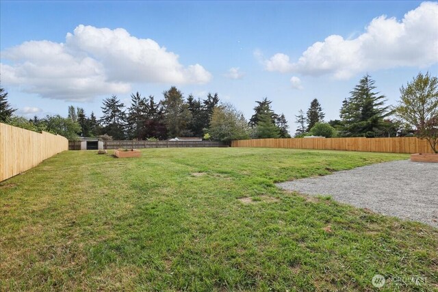 view of yard