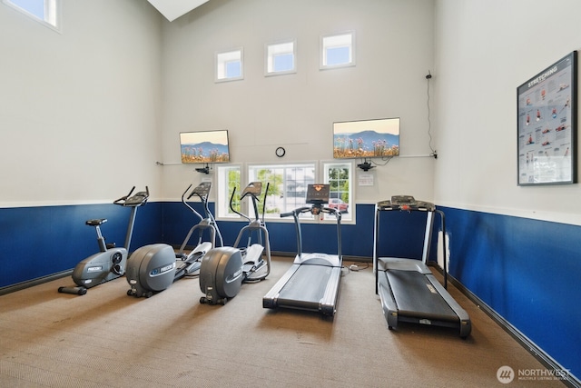 12404 E Gibson Rd Unit Q202, Everett, WA 98204 - exercise room featuring a towering ceiling, carpet flooring, healthy amount of natural light, and baseboards