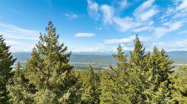 21 Two Springs Rd, Cle Elum, WA 98922 - mountain view