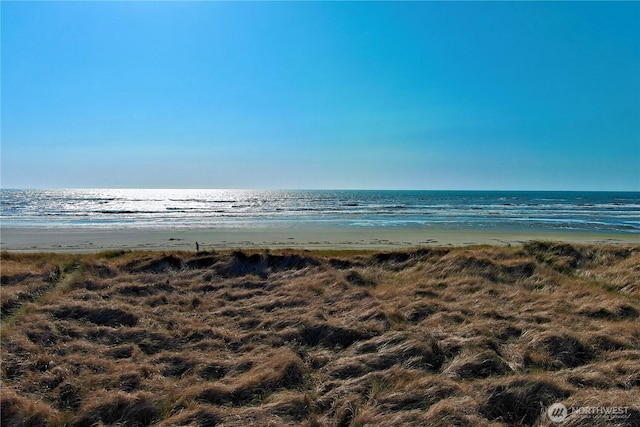 property view of water featuring a view of the beach