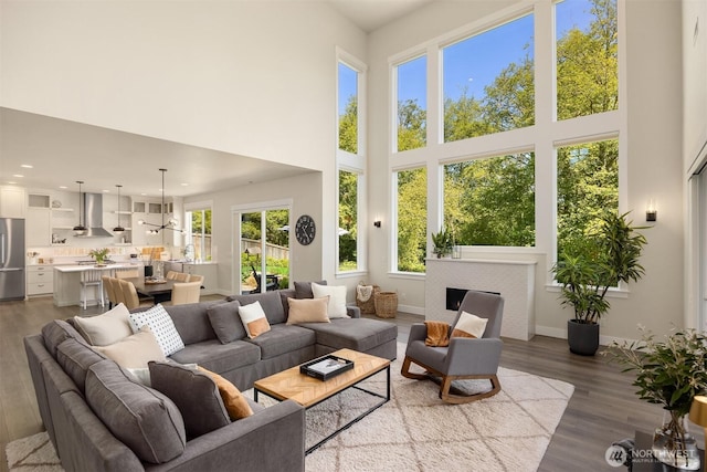 8650 NE Reserve Way, Bainbridge Island, WA 98110 - living room with a high ceiling, wood finished floors, baseboards, and recessed lighting