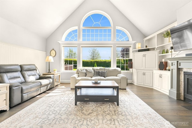 624 E Maberry Dr, Lynden, WA 98264 - living area featuring dark wood-type flooring, a glass covered fireplace, high vaulted ceiling, and wainscoting
