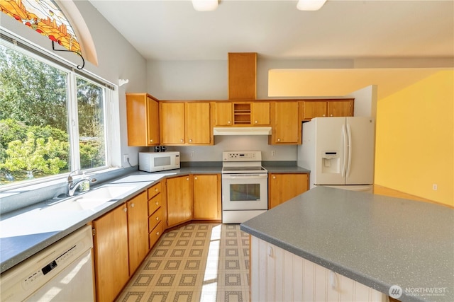 kitchen featuring light floors, under cabinet range hood, white appliances, a sink, and dark countertops