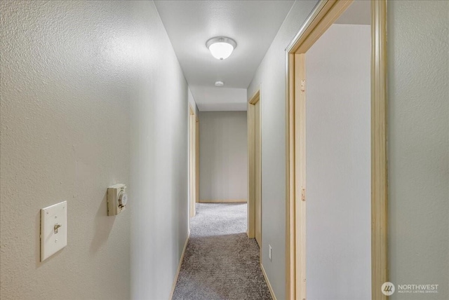 hallway featuring carpet floors