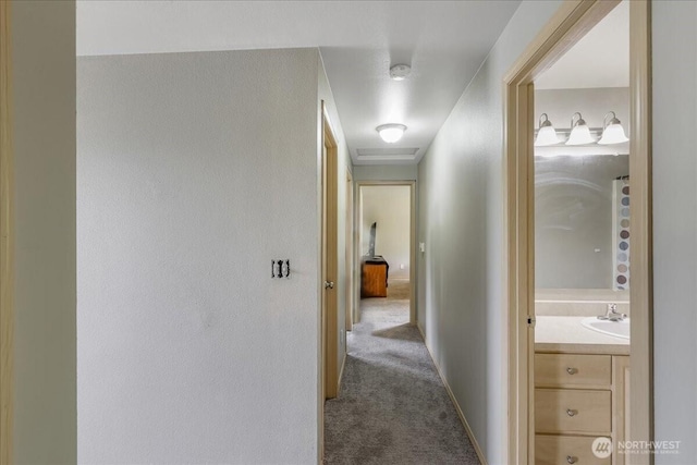 hallway featuring a sink and carpet floors