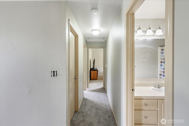 corridor featuring a sink and carpet floors