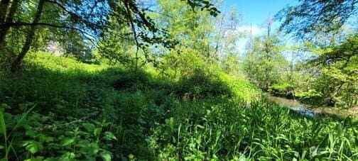 825 99th Ave SE, Lake Stevens, WA 98258 - view of nature