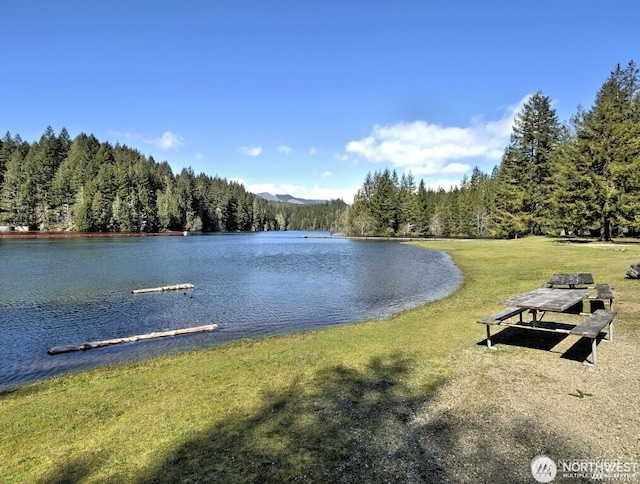 91N Gadwall Pl N, Hoodsport, WA 98548 - water view featuring a forest