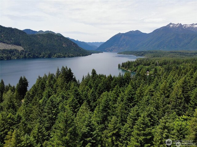 91N Gadwall Pl N, Hoodsport, WA 98548 - mountain view with a forest and a large body of water